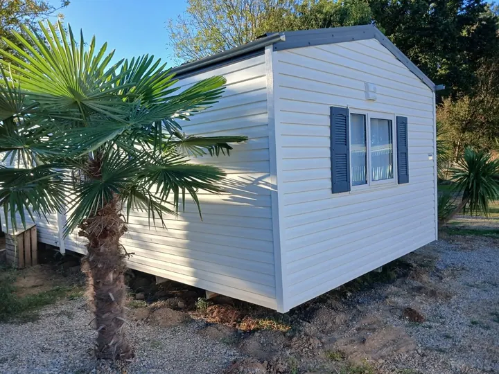 Mobil-home blanc aux volets bleus derrière un palmier, sur une parcelle arborée de camping